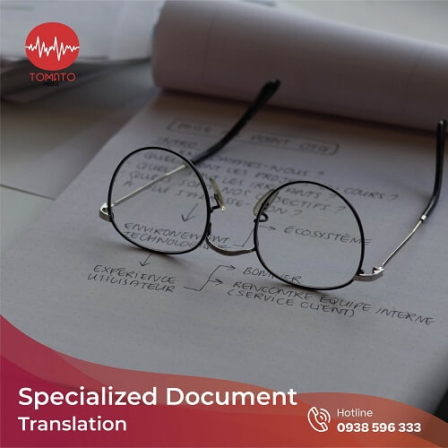 Specialized document translation services
