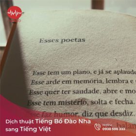 Dịch tiếng Bồ Đào Nha sang tiếng Việt chuyên nghiệp