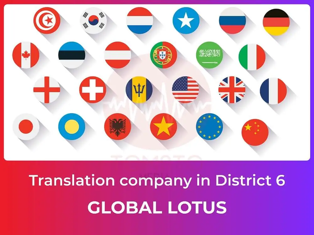 translation company in District 6