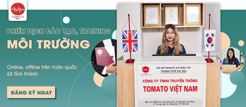 Tomato phiên dịch đào tạo, training công ty môi trường online, offline trên toàn quốc